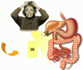 /album/colon-irritable/sindrome-del-intestino-irritable-gif/